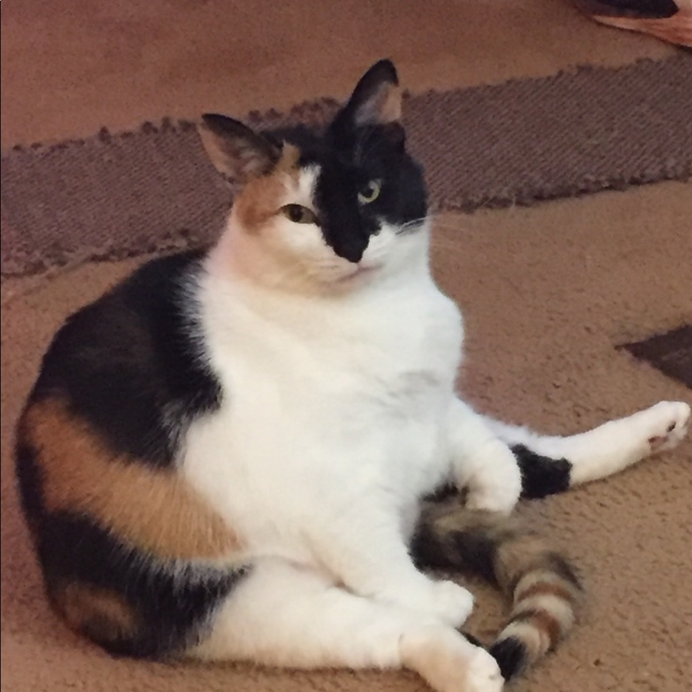 Meet your Posher, Jessica